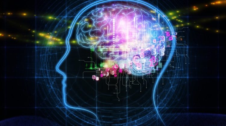 Hello Neuro(marketing), Is It You We’re Looking For?